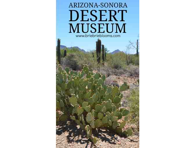 Arizona-Sonoran Desert Museum - 2 Admission Passes