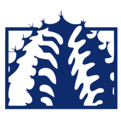 Boyce Thompson Arboretum