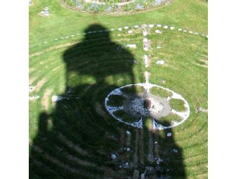 Letters from the Lighthouse