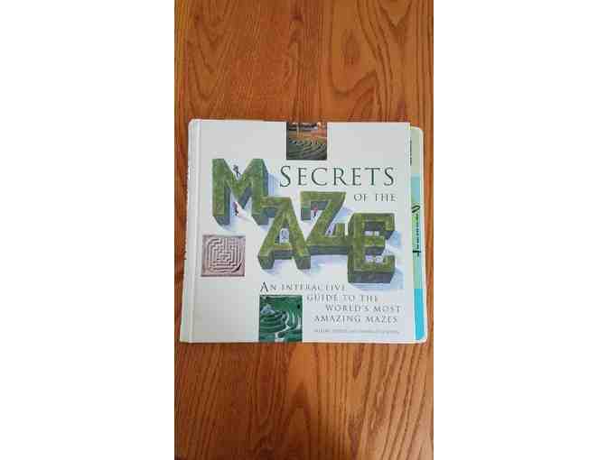 Secrets of the Maze Book