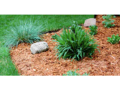 Shredded Cedar Mulch for your Landscape