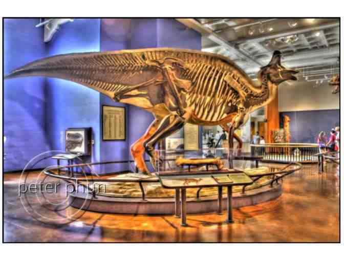 4 admission passes to the San Diego Natural History Museum