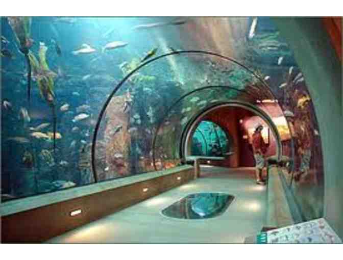 Two admission tickets to the Aquarium of the Pacific