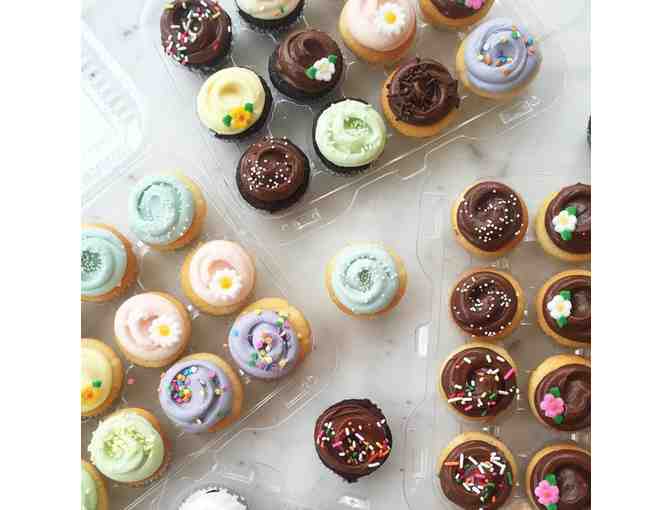 2 Dozen Cupcakes - Magonolia Bakery
