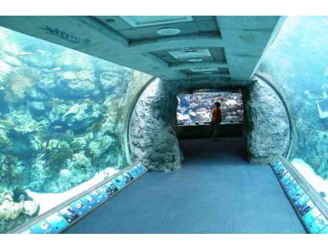 2 Aquarium of the Pacific Complimentary Admission Tickets