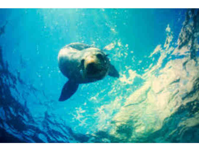 A Behind the Scenes, Docent-Guided Tour for 4 @ the LA Zoo & Botanical Gardens