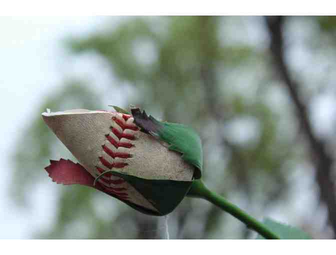 One Dozen Baseball Roses