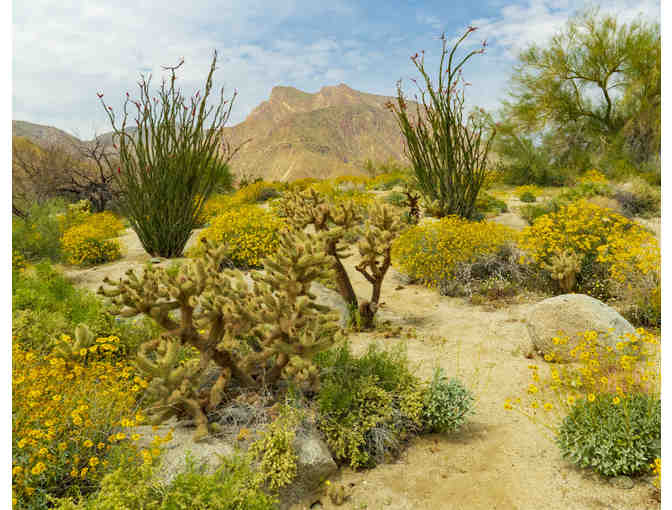 Spectacular Trio of Landscape Photographs - Pkg 4