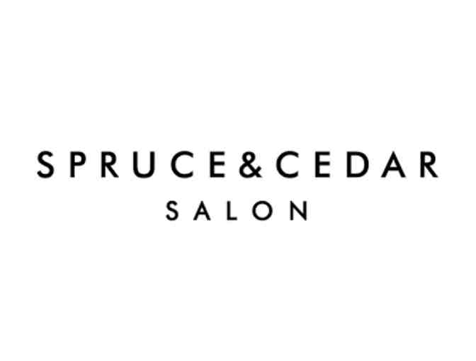 $250 in Hair Services at Spruce and Cedar in Culver City - pkg 2