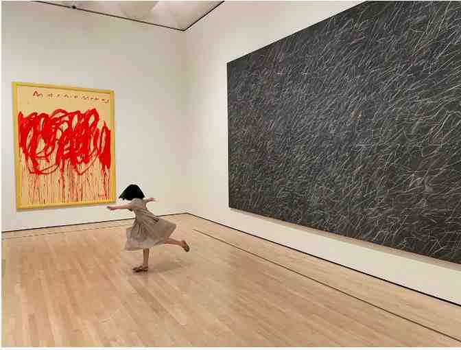 Two passes to San Francisco Museum of Modern Art