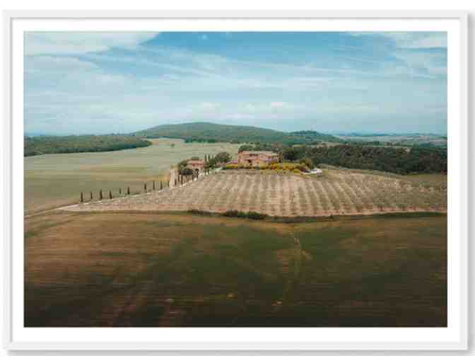 Wheeler Collective $500 Gift Certificate