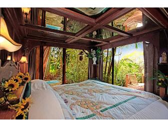 Dragonfly Ranch 5 days stay in Hawaiian Treehouse B&B