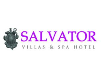 Salvator Villas & Spa Hotel  (Parga) 7 nights in 2 BR superior villa w/pool plus...