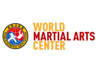 World Martial Arts Center - One Month of Martial Arts Training