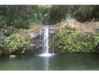 ATV Outfitters Hawaii - Big Island