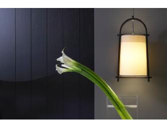 Hotel Renew - Honolulu