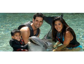 Dolphin Quest Hawaii - Big Island