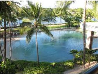 Dolphin Quest Hawaii - Big Island