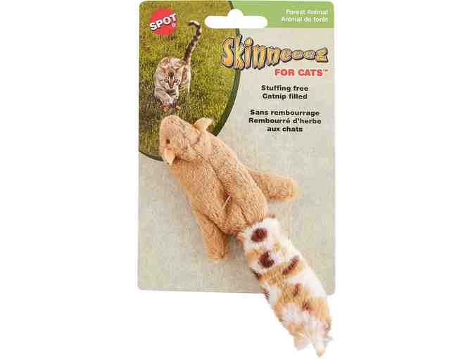 Cool Cat Collection, donated by The Clifton Club