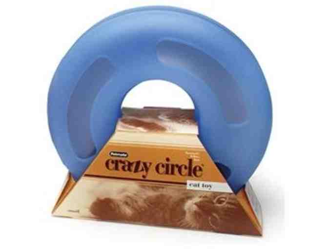 Cool Cat Collection, donated by The Clifton Club