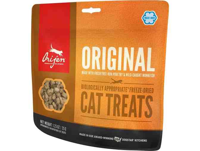 Cool Cat Collection, donated by The Clifton Club