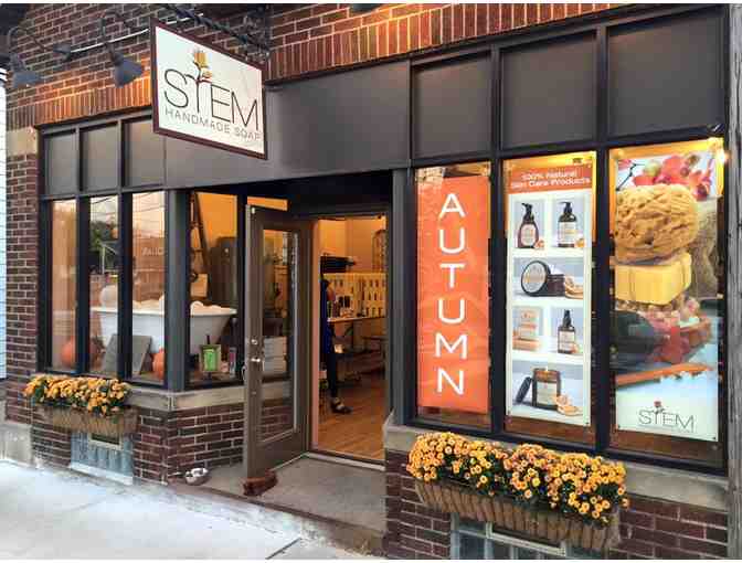 STEM Handmade Soap Holiday Collection