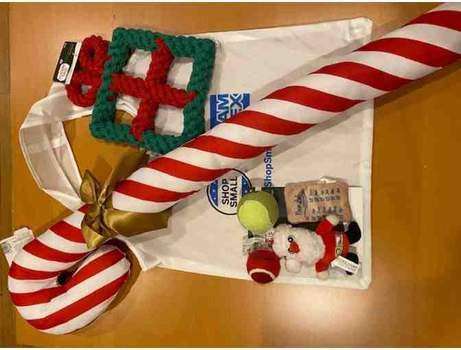 Spooky Pooch Calendar & Pup Package, donated by The Clifton Club