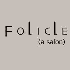 Folicle (a salon)