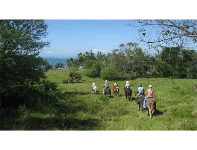 Private Horse Tour on Protected Coastal Lands in Santa Teresa, Costa Rica