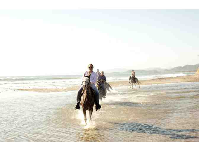 Private Horse Tour on Protected Coastal Lands in Santa Teresa, Costa Rica