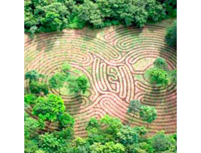 Explore the World's Largest Labyrinth at La Senda in Costa Rica