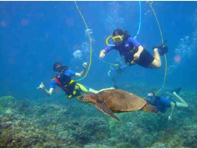 Underwater Adventure for 4 - SNUBA, Scuba Diving or Discovery Scuba Diving - Photo 1