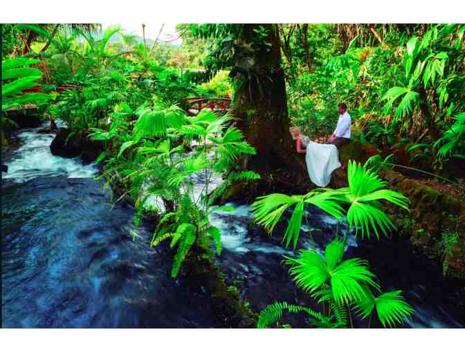 Day Pass for 2 Guests at Tabacon Hot Springs Including Lunch; Arenal, Costa Rica