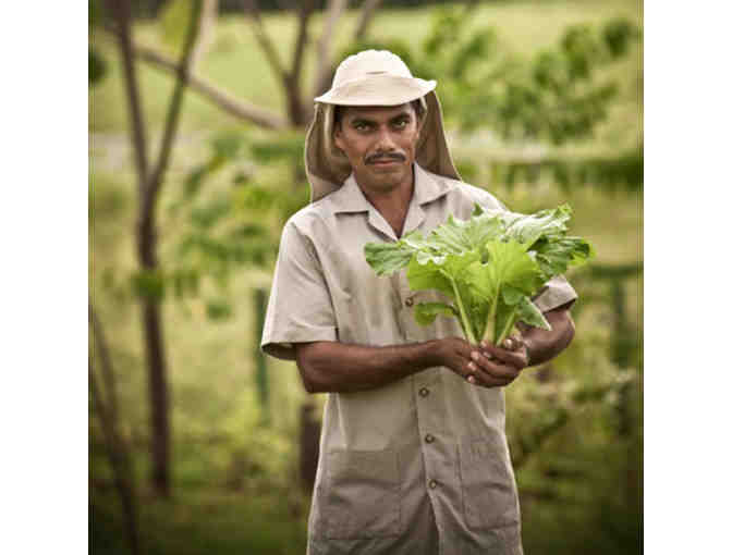 Cala Luna's own Farm to Table Dinner for Two at La Senda, Costa Rica