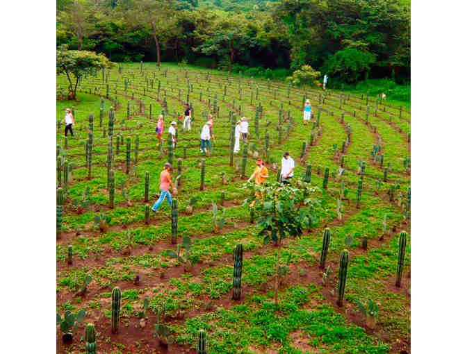 Cala Luna's own Farm to Table Dinner for Two at La Senda, Costa Rica