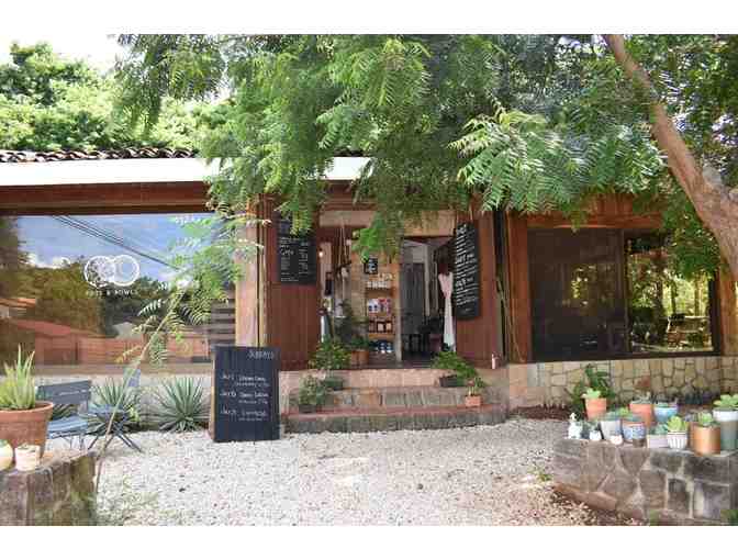 Brunch for 4 @ Pots & Bowls & Take Home 6 Succulent Plants; Grande, Costa Rica
