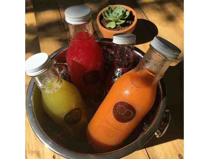 Brunch for 4 @ Pots & Bowls & Take Home 6 Succulent Plants; Grande, Costa Rica