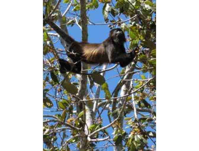 Pura Adventura for Two Guests; Your Choice of 2 tours ATV, Ziplining, or Horseback Riding