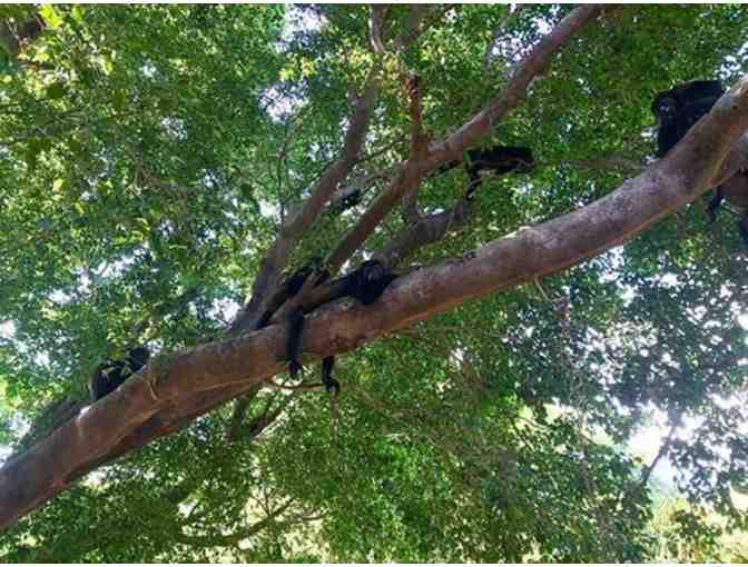 2 Night Stay at Hotel Capitan Suizo Including Breakfast; Tamarindo, Guanacaste