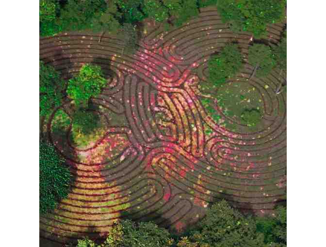 Cala Luna's own Farm to Table Dinner for Two at La Senda, Costa Rica