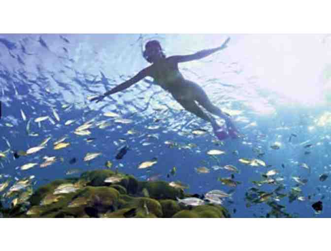 Half-day Semi-Private Yacht Tour for 4 Guests with Serendipity Charters in Costa Rica