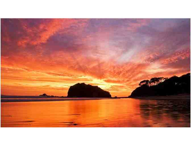 Surf, Yoga, and Nature! Enjoy a 7 night stay at Rip Jack Inn in Playa Grande, Costa Rica