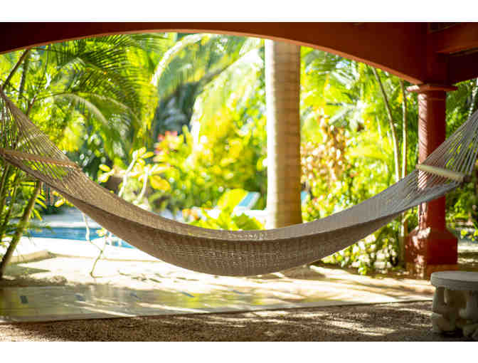 Surf, Yoga, and Nature! Enjoy a 4 night stay at Rip Jack Inn in Playa Grande, Costa Rica - Photo 6