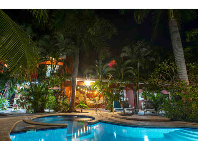 Surf, Yoga, and Nature! Enjoy a 4 night stay at Rip Jack Inn in Playa Grande, Costa Rica - Photo 1