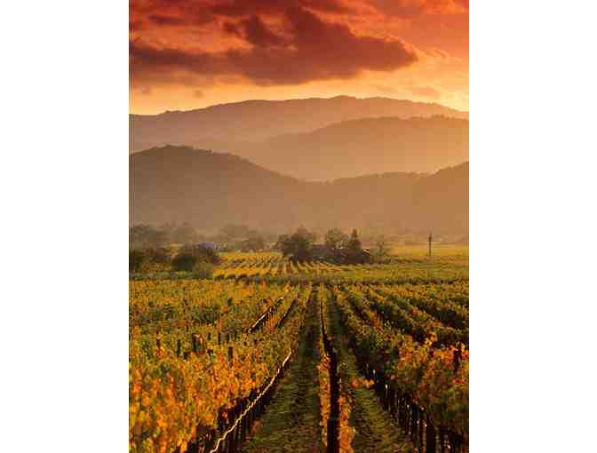 Cava Wine Tasting at Copper & Stone in Las Catalinas; A La Paz Party Event