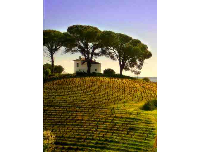 Cava Wine Tasting at Copper & Stone in Las Catalinas; A La Paz Party Event