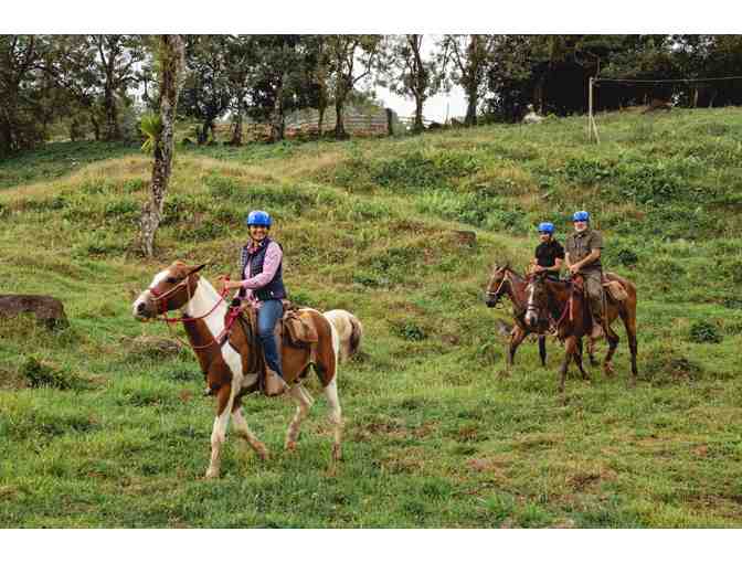 One Night Stay for 2 Including Breakfast & All Activities; ORIGINS Luxury Lodge