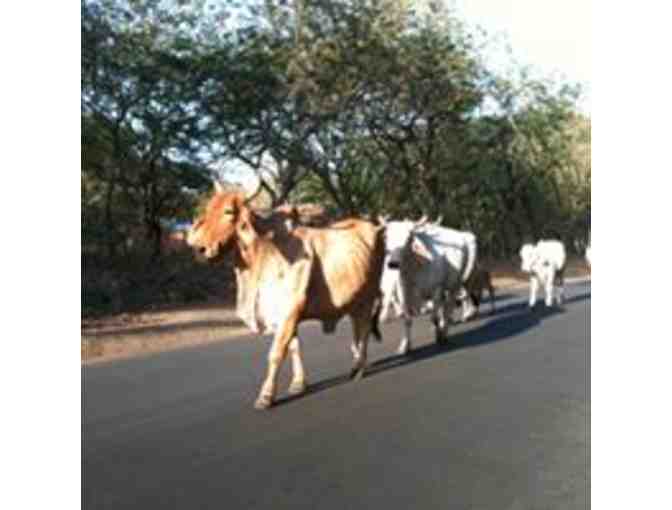 Treat Your Child to Breakfast with a Favorite Teacher! @ The Shack; Playa Portero