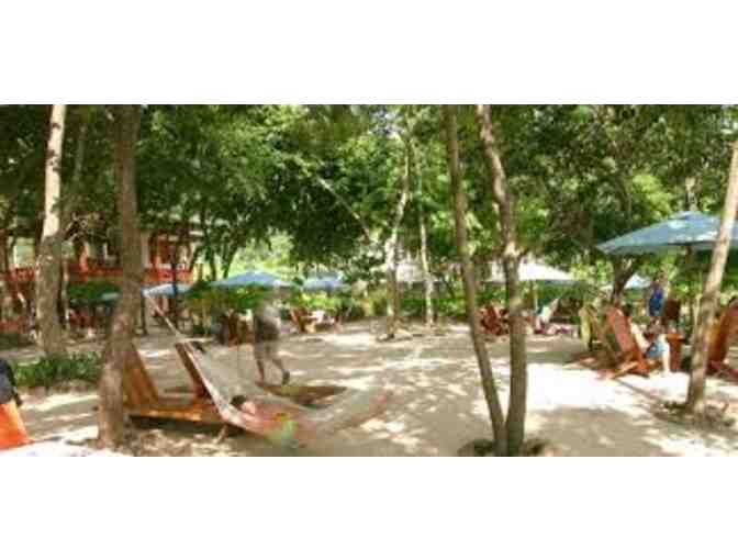 Biking & Brunch at Las Catalinas; A La Paz Party Event