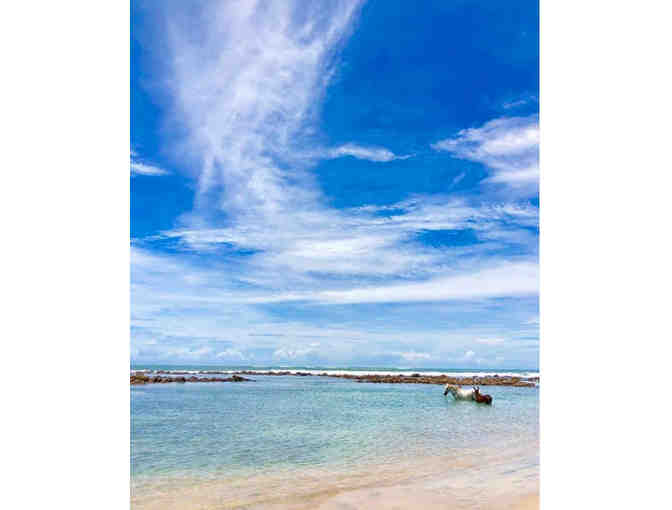 Lola's VIP Special Mother's Day Family Outing, Playa Avellena; A La Paz Party Event